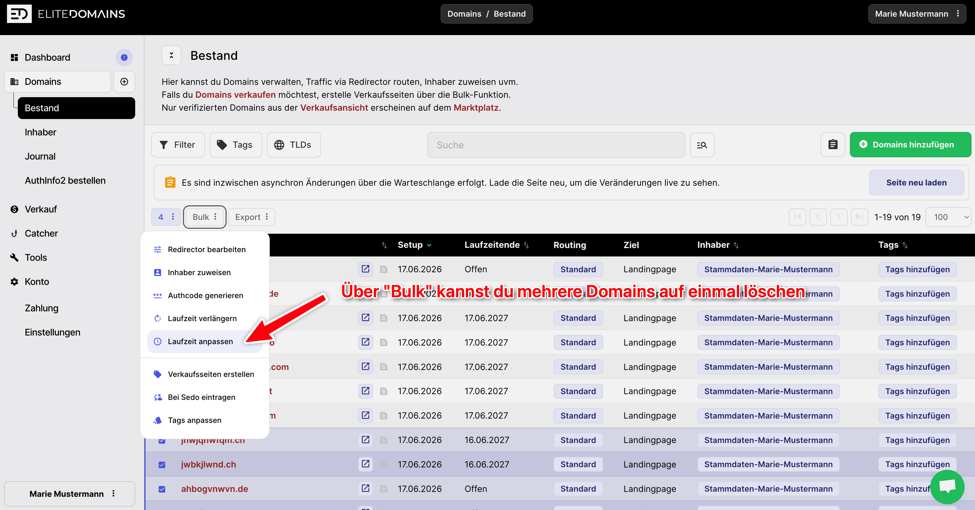 Mehrere Domains gleichzeitig löschen - Bulk Delete